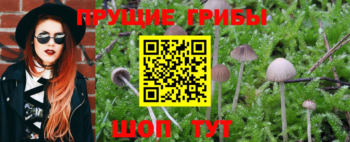 Псилоцибиновые грибы GOLDEN TEACHER Чебаркуль