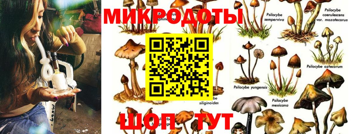 Чебаркуль  Галлюциногенные грибы ЛСД  Вход с VPN 